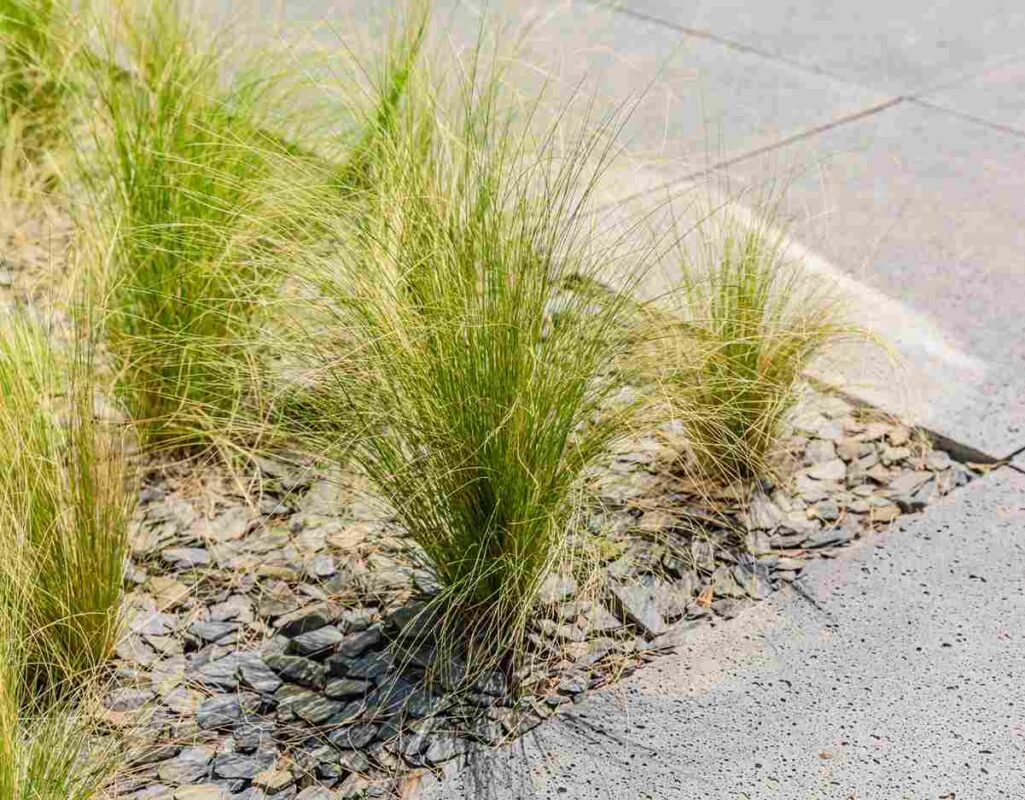 Jardín decorado con piedras